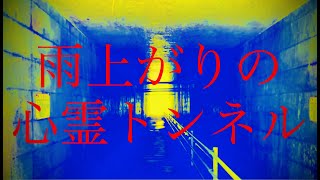 雨上がりの心霊スポット「八王子29トンネル」内部観察シーン（東京都 八王子市 裏高尾町・過去自作動画より抜粋） 【熊出没注意】 【ツキノワグマ】