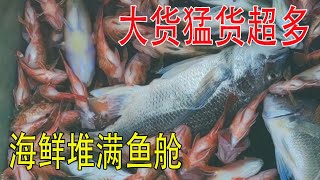 三千枚鱼钩在海里，收获的海鲜堆满鱼舱，大货猛货超多【南澳岛记录员彪哥】