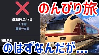 【運転見合わせ】E653系国鉄色に乗りに行こうと思ったら東北本線運休で大ピンチ！！！