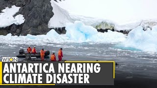 Climate Crisis: Antartica logs highest temperature on record | Global Warming |  Climate Change News