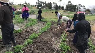 UN DÍA DE MINGA COMUNITARIA Comuna La Posta(cañar-Ecuador