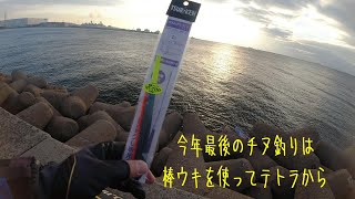 今年最後のチヌ釣り