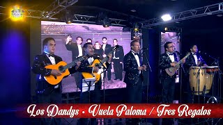 Los Dandys de Armando Navarro - Vuela Paloma / Tres Regalos, ¡En Vivo!