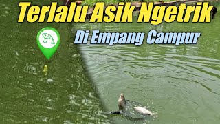 Terlalu Asik Ngetrik Di Empang Campur | Terlalu Asik Untuk Ditonton