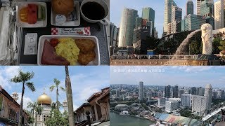 [Travel]Singapore싱가포르_패키지 여행 기록(싱가포르항공,머라이언파크,보타닉가든,시티투어버스,주롱새공원,인력거투어,스카이파크,패러파크호텔)