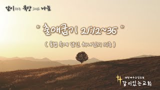 같이하는 묵상 그리고 나눔 - 출애굽기 21장 12~36절