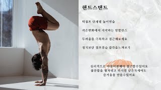 요가 핸드스탠드 턱점프_초보자편 벽/파트너와 함께 해보세요