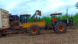 รถตัดอ้อยสด!! Caneco Sugar Cane Harvester,ตัดอ้อยสด