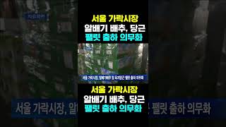 [한국농수산TV] 서울 가락시장 알배기 배추, 육지 당근...  팰릿 출하 의무화