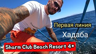 Египет 🇪🇬 Первая линия Sharm Club Beach Resort 4* Хадаба Сервис Питание Территория  Пляж