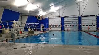 302 C Reverse Somersault Tuck Position - 1m springboard Diving