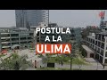 postula a la ulima