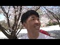 캠핑 철판 삼겹살은 거들뿐 │ 사실은 이게 다 했다 │ 벚꽃 꽃비 캠핑 │ cherry blossom camping