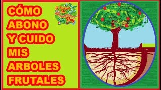 ABONAR ÁRBOLES, 3 FORMAS QUE ME GUSTAN, BUEN RESULTADO 🌳🌳🌳