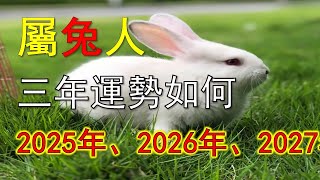 属兔人未来三年运势如何（2025年、2026年、2027年）#生肖兔#屬兔人#兔生肖