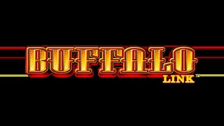 $25 Bets On Buffalo Link Slot Machine