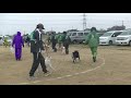 北海道犬保存会　関東連合支部展覧会　成犬牝組　特良１席　桜姫