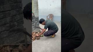 আমার action টা দেখো এই বার 😡|| #viralvideo #funny #fun #shorts #comedy