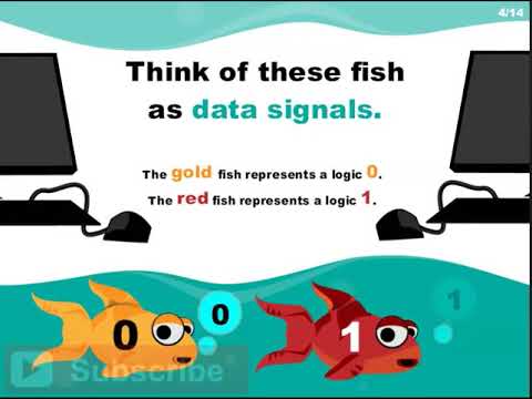 What is Bandwidth in Networking?