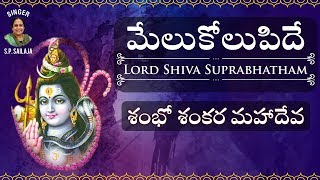 మేలుకోలుపిదే | Lord Shiva Suprabhatham | శంభో శంకర మహాదేవ | Melukolupide | Bhakti Song