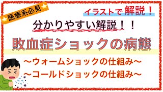 教科書をわかりやすく！「敗血症ショックの病態とは」〜ウォームショックとコールドショックの機序を簡単に解説！〜