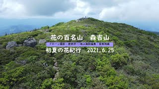 花の百名山・森吉山　初夏の花紀行2021