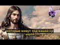 🔴 БОГ ГОВОРИТ У ВАС МОЖЕТ НЕ БЫТЬ ДРУГОГО ШАНСА ПРИМИТЕ СВОЕ ЧУДО ✝️ СООБЩЕНИЕ ОТ БОГА