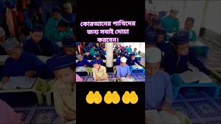 কুরআনের পাখিদের জন্য সবাই দোয়া করবেন#quranreading #quran #birds #shorts #viralvideo #video