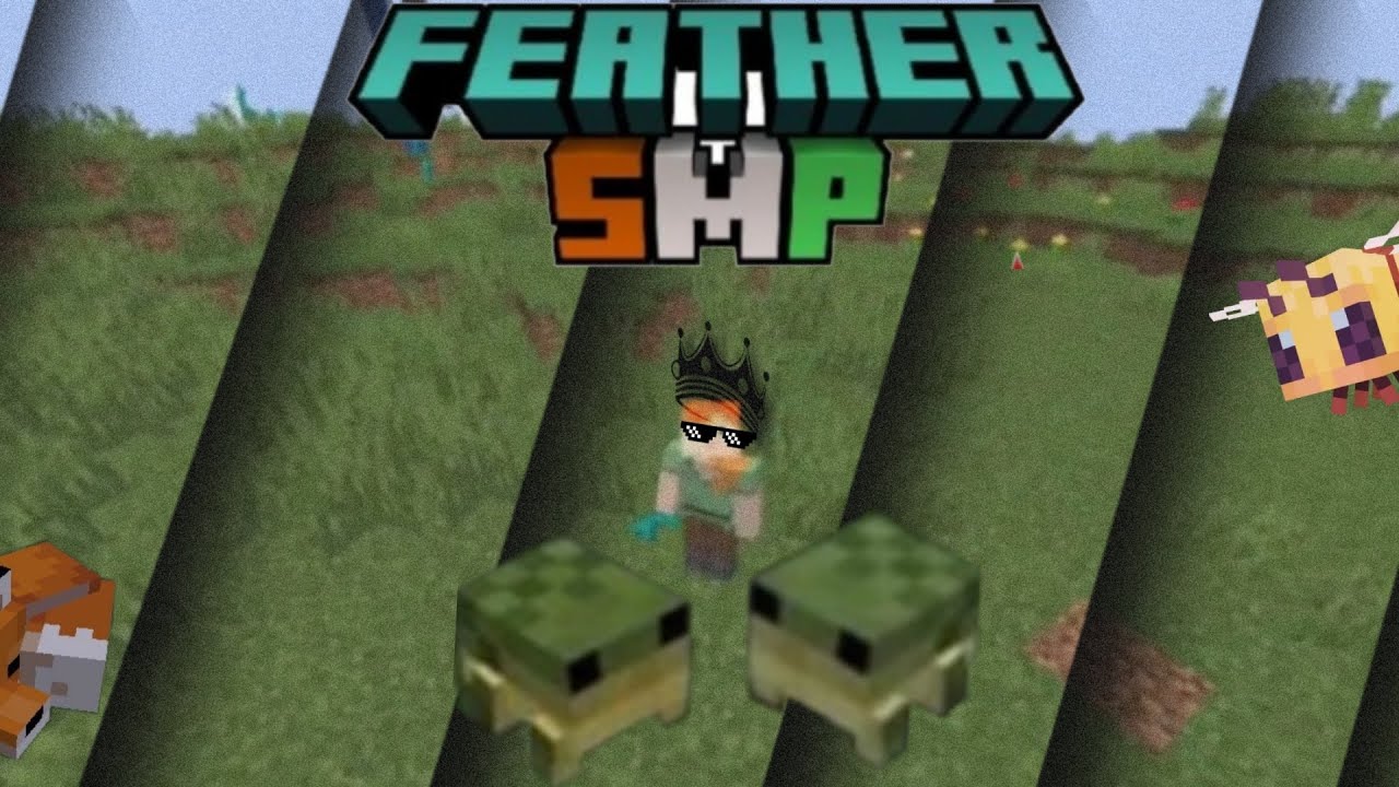 Application For Feather Smp Youtube