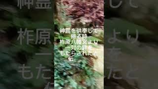 【ぷらユヅ】「筑前国伊野〜ここがいい〜」神様にこのまれた地⁉︎