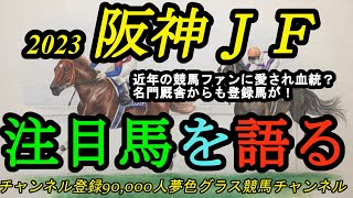 【注目馬を語る】2023阪神ジュベナイルフィリーズ！競馬ファンに近年愛される血統からまたG1へ！名門厩舎からも送りだす馬が！