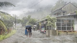 Heavy Rain and Stormy Wind in Village Life | Rain and Thunder Sounds Perfect For Sleeping \u0026 Relaxing