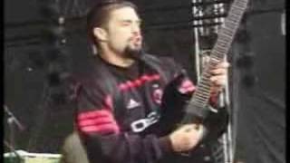 Soulfly-Roots Bloody Roots