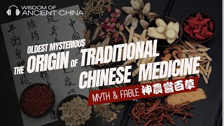 Exploring the Mysterious World's Oldest Medicine - The Origin of Traditional Chinese Medicine | Myth