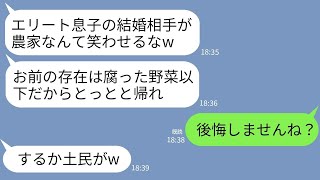 【LINE】結婚の挨拶で実家が農家と知って腐った玉ねぎを投げつけて追い返した婚約者父「汚い土民に息子をやるかw」→お望み通り婚約破棄すると大慌ての義父から連絡がwww