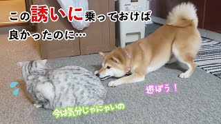 この誘いに乗っておけば…｜PECO