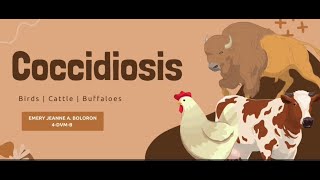 VET PARA 1 | Coccidiosis in Poultry Birds, Cattle \u0026 Buffaloes | Chapter 3.15-16 (Student Output)