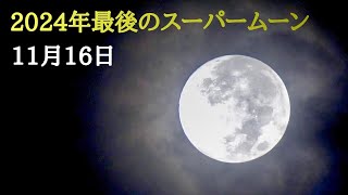 2024年最後のスーパームーン「道長の月」🌕11月16日 AM6:30 (ビーバームーン 4K)【11月の満月】「適した願い事」自然の風景 春日部 Beavermoon fullmoon japan