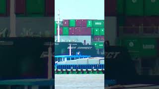 High Speed Giant Container Ship #shipspotting #containership #ships