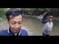 MENANGKAP IKAN DI SUNGAI DEKAT RUMAH