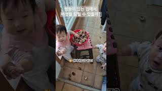 사고뭉치 11개월 아기의 귀여운 버섯장난! #쌍둥이 #11개월아기 #육아 #사고뭉치 #baby #cute #twins #웃음 #귀여운아기