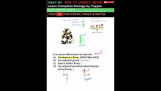 inflorescence class 11 | inflorescence I inflorescence and its types #neet #neetbiology #shorts