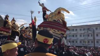 唐津くんち 2016 お旅所神幸 引き込み 10