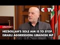 Hezbollah's Sole Aim Is to Stop Israeli Aggression: Lebanese MP