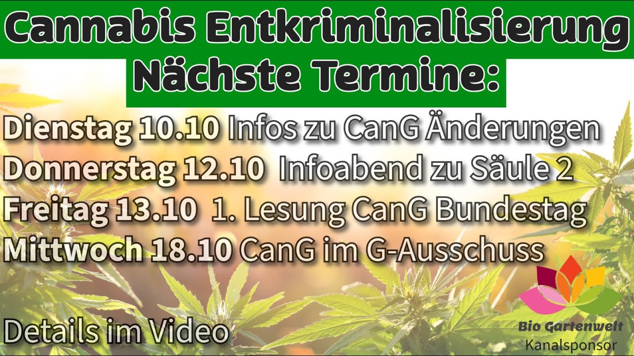 Cannabisgesetz CanG Im Bundestag, Nächste Termine Im Oktober Auf Dem ...