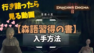 行き詰まったら見る動画 ドラゴンズドグマ2攻略 「森語習得の書」入手方法　Dragon's Dogma 2