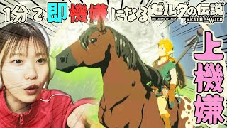 【撮れ高レベル0.2】もう少しで山頂でウマも上機嫌！ #145【1分で即終了するゼルダの伝説ブレスオブザワイルド】