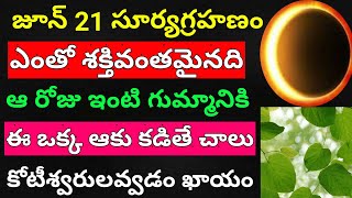 జూన్ 21 సూర్యగ్రహణం మన భారత దేశంలో కనపడుతుంది ఆ రోజు గుమ్మానికి ఈ ఆకు కడితే కోటీశ్వరులు అవ్వడం ఖాయం