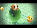 Funny Animal Videos Funniest Cats and Dogs 2024 Will Make You Laugh