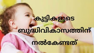 കുട്ടികളുടെ ബുദ്ധിവികാസത്തിന് നൽകേണ്ടത് || Baby brain development foods